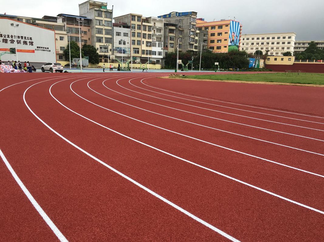 陇南市橡胶跑道塑胶跑道材料 - 厂家